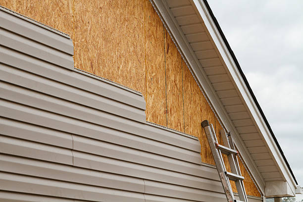 Professional Wood Siding technician working in Mount Sterling, KY